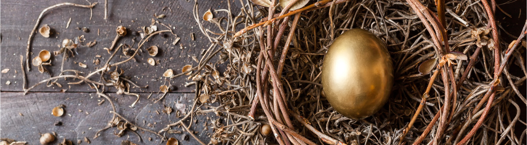 Use an Annuity to get a Golden Egg for the Golden Years